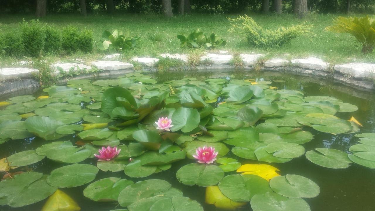 B & B Casal Pereto Valmontone Dış mekan fotoğraf