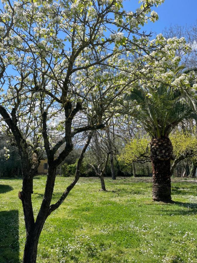 B & B Casal Pereto Valmontone Dış mekan fotoğraf