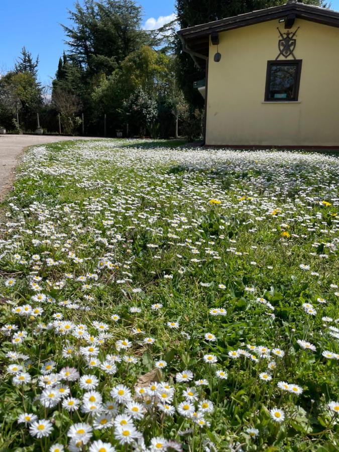 B & B Casal Pereto Valmontone Dış mekan fotoğraf